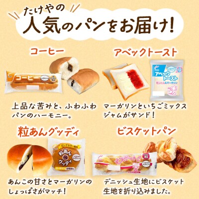 定期便3ヶ月 たけや製パン 秋田ふるさと満喫セット 10種(計10個)|15_tsp-010103