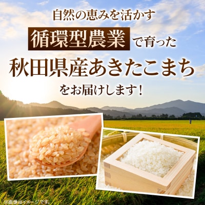 《令和7年産新米先行受付》 あきたこまち 20kg 無洗米|15_mge-012001m