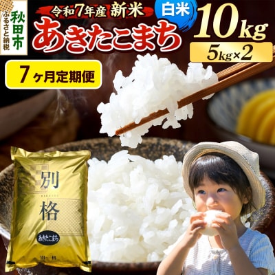 《令和7年産新米》定期便7ヶ月 あきたこまち 10kg 白米|15_mge-011007h