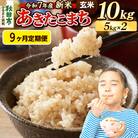 《令和7年産新米》定期便9ヶ月 あきたこまち 10kg 玄米|15_mge-011009g