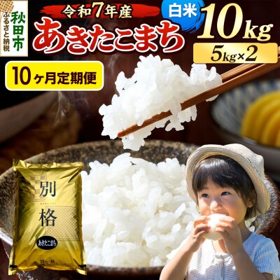 《令和7年産》定期便10ヶ月 あきたこまち 10kg 白米|15_mge-011010h