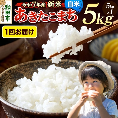 《令和7年産新米先行受付》 あきたこまち 5kg 白米|15_mge-010501h