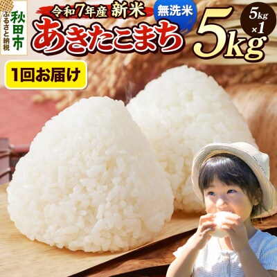 《令和7年産新米先行受付》 あきたこまち 5kg 無洗米|15_mge-010501m