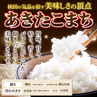 《令和7年産新米》定期便3ヶ月 あきたこまち 5kg 無洗米|15_mge-010503m