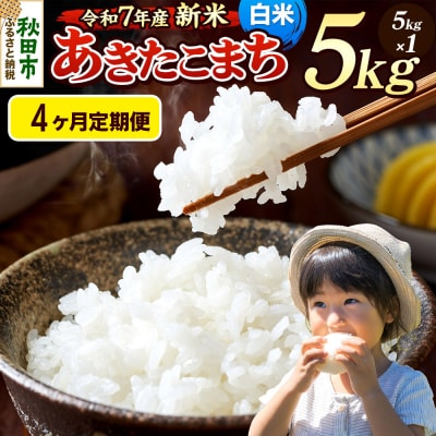 《令和7年産新米先行受付》定期便4ヶ月 あきたこまち 5kg 白米|15_mge-010504h