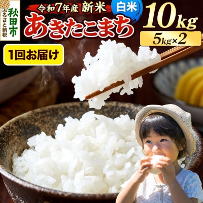 《令和7年産新米先行受付》 あきたこまち 10kg 白米|15_mge-011001h
