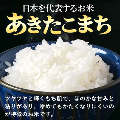 令和7年産 秋田県産特別栽培あきたこまち 5kg|15_asm-240501