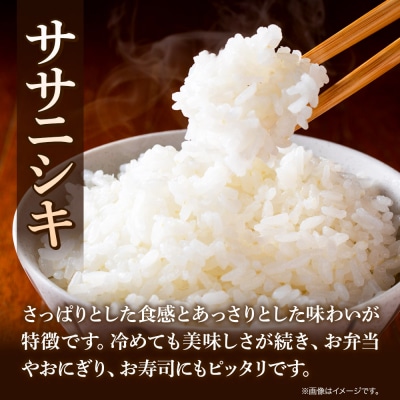 令和7年産 秋田県秋田市産 ササニシキ 精米 10kg(5kg×2袋) |15_kjd-021001