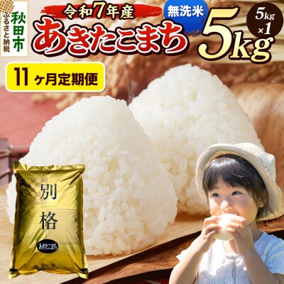 《令和7年産》定期便11ヶ月 あきたこまち 5kg 無洗米|15_mge-010511m