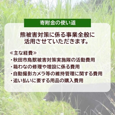 【返礼品なし】秋田県秋田市 クマ被害防止緊急対策支援|15_asy-05xxxx