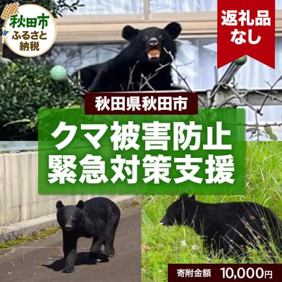 【返礼品なし】秋田県秋田市 クマ被害防止緊急対策支援 10,000円|15_asy-051001
