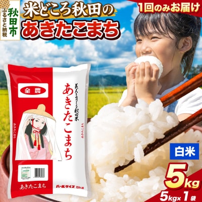 あきたこまち【白米】秋田県産 5kg(5kg×1袋)|15_zna-010501h