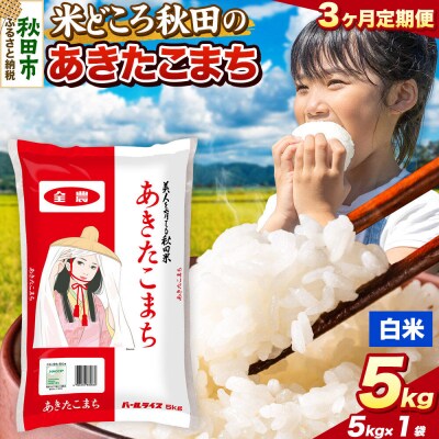 定期便3ヶ月 あきたこまち【白米】秋田県産 5kg(5kg×1袋)|15_zna-010503h