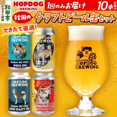 クラフトビール缶 10本 ホップドッグブルーイング|15_hdb-011001