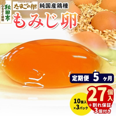 定期便5回 純国産鶏種 卵『もみじ』27個+割れ保証3個 10個×3P|15_tyt-020305
