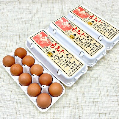定期便10回 純国産鶏種 卵『もみじ』27個+割れ保証3個 10個×3P|15_tyt-020310