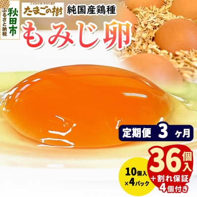 定期便3回 純国産鶏種 卵『もみじ』36個+割れ保証4個 10個×4P|15_tyt-020403