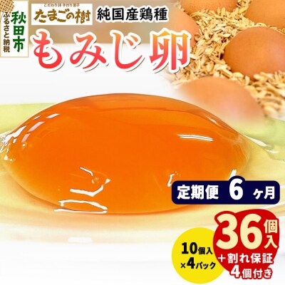 定期便6回 純国産鶏種 卵『もみじ』36個+割れ保証4個 10個×4P|15_tyt-020406