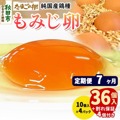 定期便7回 純国産鶏種 卵『もみじ』36個+割れ保証4個 10個×4P|15_tyt-020407