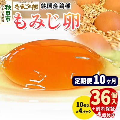 定期便10回 純国産鶏種 卵『もみじ』36個+割れ保証4個 10個×4P|15_tyt-020410