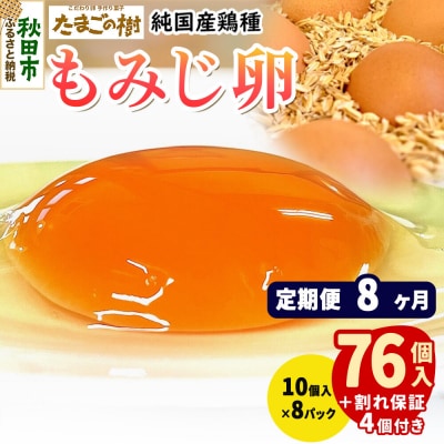 定期便8回 純国産鶏種 卵『もみじ』76個+割れ保証4個 10個×8P|15_tyt-020808