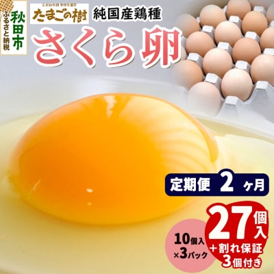 定期便2回 純国産鶏種 卵 『さくら』27個+割れ保証3個 10個×3P|15_tyt-030302