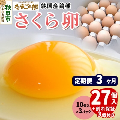定期便3回 純国産鶏種 卵『さくら』27個+割れ保証3個 10個×3P|15_tyt-030303