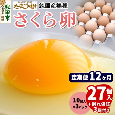 定期便12回 純国産鶏種 卵『さくら』27個+割れ保証3個 10個×3P|15_tyt-030312