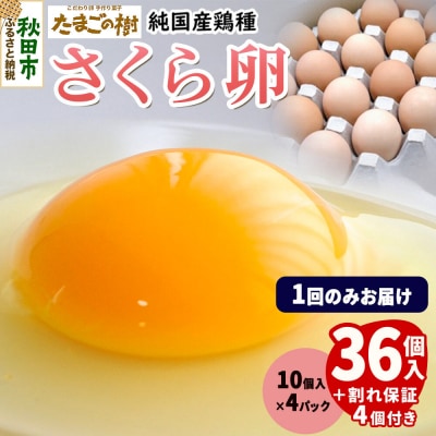 たまごの樹 純国産鶏種 卵『さくら』36個+割れ保証4個 10個×4P|15_tyt-030401