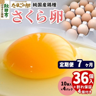 定期便7回 純国産鶏種 卵『さくら』36個+割れ保証4個 10個×4P|15_tyt-030407