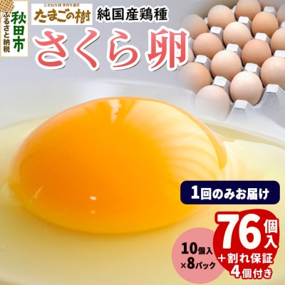 たまごの樹 純国産鶏種 卵『さくら』76個+割れ保証4個 10個×8P|15_tyt-030801