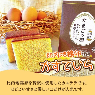 たまごの樹 かすていら(比内地鶏卵使用)2個(半斤2入)|15_tyt-050201
