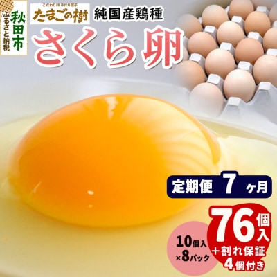 定期便7回 純国産鶏種 卵『さくら』76個+割れ保証4個 10個×8P|15_tyt-030807