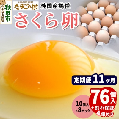 定期便11回 純国産鶏種 卵『さくら』76個+割れ保証4個 10個×8P|15_tyt-030811