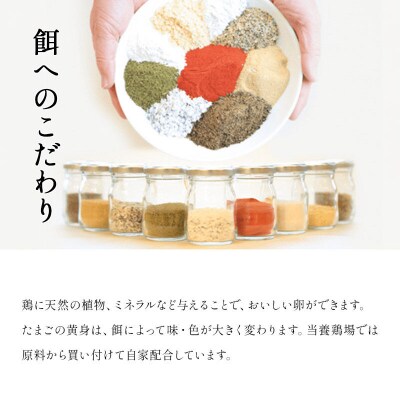 定期便11回 純国産鶏種 卵『さくら』76個+割れ保証4個 10個×8P|15_tyt-030811