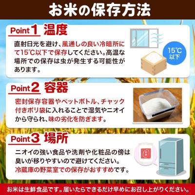 秋田県産 あきたこまち 無洗米 3kg 令和7年|15_kml-010301m