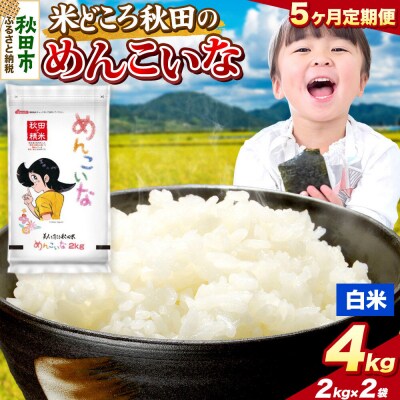 定期便5ヶ月 めんこいな【白米】秋田県産 4kg(2kg×2袋)|15_zna-050405h