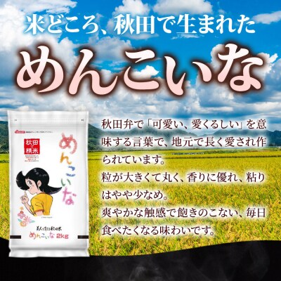 定期便5ヶ月 めんこいな【白米】秋田県産 4kg(2kg×2袋)|15_zna-050405h
