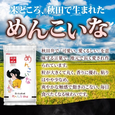定期便5ヶ月 めんこいな【白米】秋田県産 6kg(2kg×3袋)|15_zna-050605h