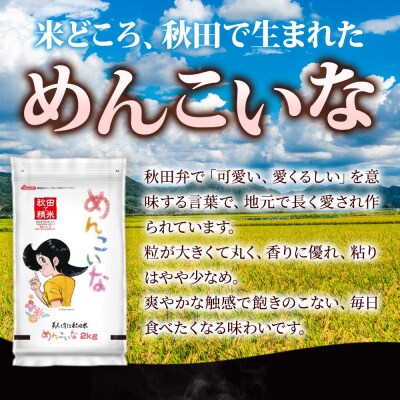 めんこいな【白米】秋田県産 8kg(2kg×4袋)|15_zna-050801h