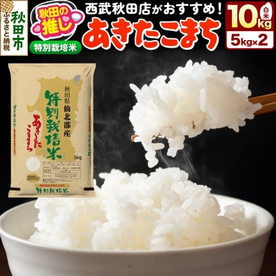 秋田県産【特別栽培米】あきたこまち 10kg(5kg×2袋)白米 精米|15_ssa-030501