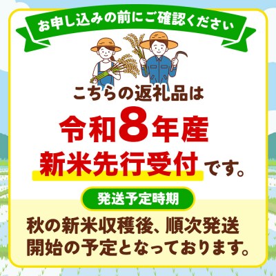 新米受付《定期便6ヶ月》ひとめぼれ 2kg 白米|15_akn-ee0206hs
