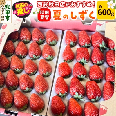 秋田県産 いちご「秋田夏響」 なつひびき 約600g「夏のしずく」|15_ssa-080101