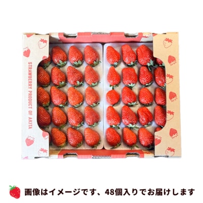 秋田県産 いちご「秋田夏響」 なつひびき 約600g「夏のしずく」|15_ssa-080101