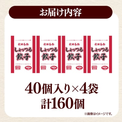 秋田名物 しょっつる餃子 40個入×4袋 秋田のしょっつるを使用|15_mmo-010401