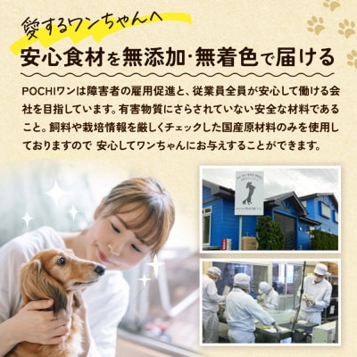 わんちゃん手づくりおやつ「ごちワン」ブルーベリートリーツ|15_pco-01c101