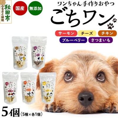 わんちゃん手づくりおやつ「ごちワン」トリーツ5種セット|15_pco-01f101