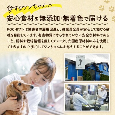 わんちゃん手づくりおやつ「ごちワン」トリーツ5種セット|15_pco-01f101