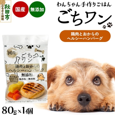 わんちゃん手づくりごはん「ごちワン」鶏肉とおからのヘルシーハンバーグ|15_pco-02b101