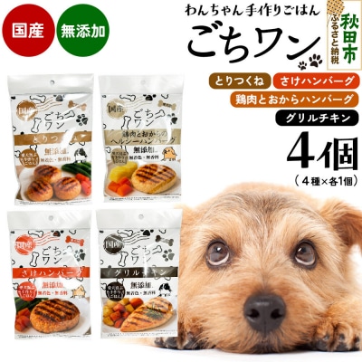 わんちゃん手づくりごはん「ごちワン」レトルト4種セット|15_pco-02e101